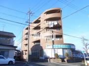 はなみずき3