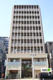TY天六