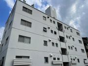 CASA GRAIN 都