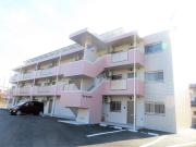 Shez Moi（シェモア）川中子