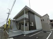 コンホート