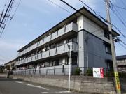 エーデルパイン