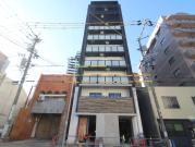 Cocor. shinsakae
