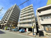 シュケル栄