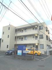 ハレクラニ