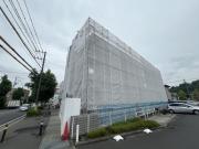D Paina 生田