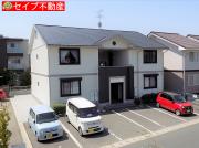マルセリーノ関D