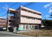 シベルニー磐田B