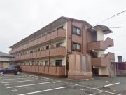プルメリア