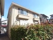 チックフリック