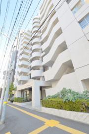 藤和昭和町コープ