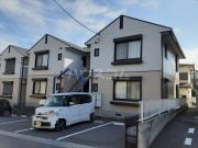 カモミール D