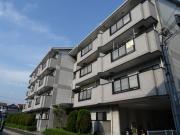 シェリール河崎2