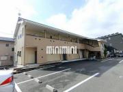 スターライト イーズ