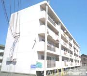 加渡ビル