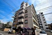 ドムス河堀口
