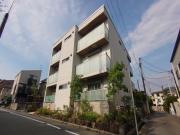 Y′s COURT