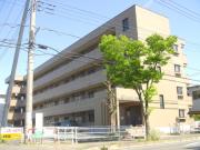 ジュネパレス向井