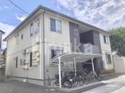 オーキッド