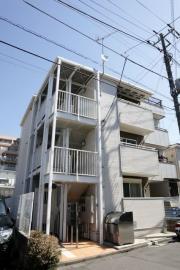 ライラック