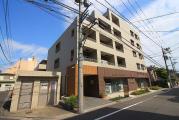 WISTERIA KOMAZAWA