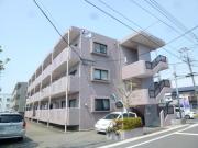 ドルミールYano