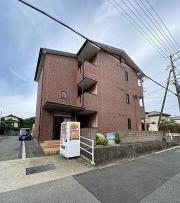 マジェスティコート