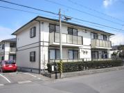 フレッシュグリーン21 B