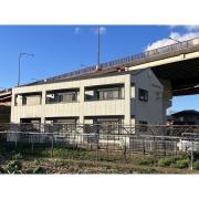 BRIDGE DAIMON
