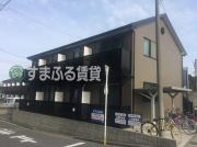 アンプルールリーブルキニーネSUN