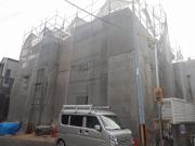 D Porta Yulan