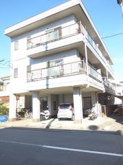 ハイネス・トモエ