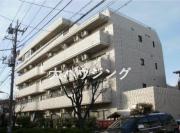 エンジュルス守屋