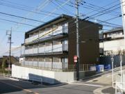 田面
