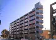 スカイハイネス西調布