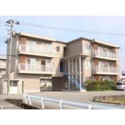 さくらハイツ1号棟