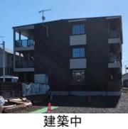 ヴィオラ