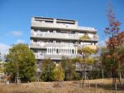 VITA NORITAKE