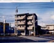 HAMASHO PRIMO