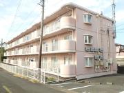 パレス富塚