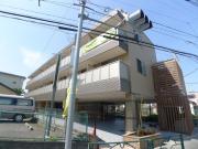 Will西水元
