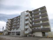 Kanon Sendai