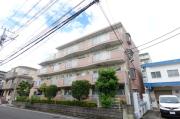 T′s Court