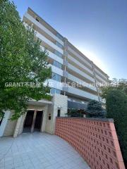 Allies Meadow