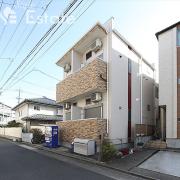 Orque D′or Kasatori