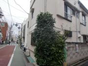 西武新宿線新井薬師前駅まで徒歩4分