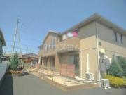 エーデルワイス A
