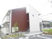 メープル