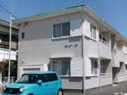 セノーテ