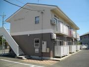チェリーブロッサム1